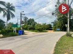 ขายที่ดิน เนื้อที่ 1 ไร่ บางละมุง ชลบุรี-202512141138181765687098943.jpg