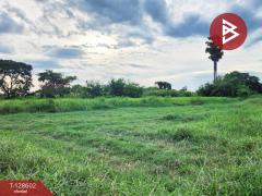 ขายที่ดิน เนื้อที่ 3 งาน 85.2 ตร.วา สระกะเทียม นครปฐม-202512141216501765689410222.jpg