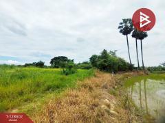 ขายที่ดิน เนื้อที่ 3 งาน 85.2 ตร.วา สระกะเทียม นครปฐม-202512141216501765689410899.jpg