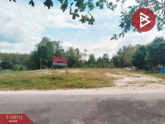 ขายที่ดินเปล่าถมแล้ว เนื้อที่ 1 ไร่ 2 13.1 ตร.วา บ้านค่าย ระยอง