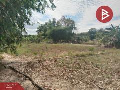 ขายที่ดินเปล่าถมแล้ว เนื้อที่ 1 ไร่ 2 13.1 ตร.วา บ้านค่าย ระยอง-202512141257161765691836026.jpg