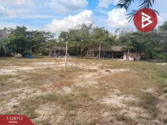 ขายที่ดินเปล่าถมแล้ว เนื้อที่ 1 ไร่ 2 13.1 ตร.วา บ้านค่าย ระยอง-202512141257161765691836603.jpg