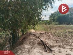 ขายที่ดินเปล่าถมแล้ว เนื้อที่ 1 ไร่ 2 13.1 ตร.วา บ้านค่าย ระยอง-202512141257171765691837169.jpg