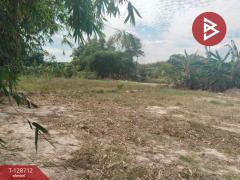 ขายที่ดินเปล่าถมแล้ว เนื้อที่ 1 ไร่ 2 13.1 ตร.วา บ้านค่าย ระยอง-202512141257171765691837724.jpg