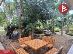 ขายบ้านเดี่ยวพร้อมที่ดิน เนื้อที่ 3 งาน 39.6 ตร.วา ท่าเรือ นครศรีธรรมราช-202512141415361765696536032.jpg