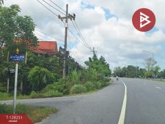 ขายบ้านเดี่ยวพร้อมที่ดิน เนื้อที่ 3 งาน 39.6 ตร.วา ท่าเรือ นครศรีธรรมราช-202512141415381765696538093.jpg