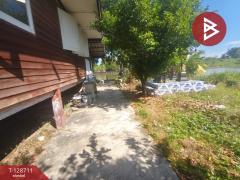 ขายบ้านเดี่ยวชั้นเดียว เนื้อที่ 1 งาน 8 ตร.วา ลาดกระบัง กรุงเทพมหานคร-202512141458211765699101696.jpg