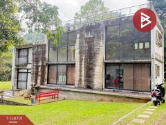 ขายบ้านเดี่ยว เนื้อที่ 1 งาน 36 ตร.วา แม่ริม เชียงใหม่