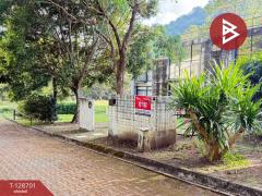 ขายบ้านเดี่ยว เนื้อที่ 1 งาน 36 ตร.วา แม่ริม เชียงใหม่-202512141518281765700308158.jpg