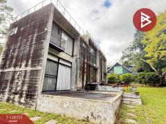 ขายบ้านเดี่ยว เนื้อที่ 1 งาน 36 ตร.วา แม่ริม เชียงใหม่-202512141518281765700308705.jpg