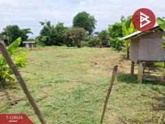 ขายที่ดิน เนื้อที่ 74.3 ตารางวา อ.พาน เชียงราย ติดถนน ใกล้แหล่งชุมชน-202512141529101765700950509.jpg