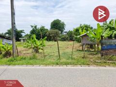 ขายที่ดิน เนื้อที่ 74.3 ตารางวา อ.พาน เชียงราย ติดถนน ใกล้แหล่งชุมชน-202512141529111765700951054.jpg