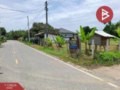 ขายที่ดิน เนื้อที่ 74.3 ตารางวา อ.พาน เชียงราย ติดถนน ใกล้แหล่งชุมชน-202512141529111765700951608.jpg