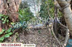 GF-025075 ที่ดินโครงการชลลดา บางบัวทอง 206 ตร.ว. นนทบุรี ใกล้เซ็นทรัลเวสต์เกต-202512141652351765705955455.jpg