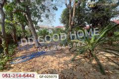 GF-025075 ที่ดินโครงการชลลดา บางบัวทอง 206 ตร.ว. นนทบุรี ใกล้เซ็นทรัลเวสต์เกต-202512141652381765705958965.jpg