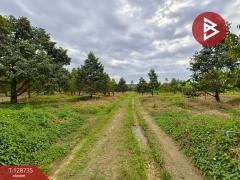 ขายที่ดินพร้อมสวน เนื้อที่ 27 ไร่ เขาคิชฌกูฏ จันทบุรี-202512141723091765707789158.jpg