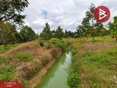 ขายที่ดินพร้อมสวน เนื้อที่ 27 ไร่ เขาคิชฌกูฏ จันทบุรี-202512141723091765707789748.jpg