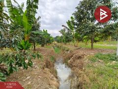 ขายที่ดินพร้อมสวน เนื้อที่ 27 ไร่ เขาคิชฌกูฏ จันทบุรี-202512141723101765707790297.jpg