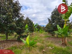 ขายที่ดินพร้อมสวน เนื้อที่ 27 ไร่ เขาคิชฌกูฏ จันทบุรี-202512141723101765707790971.jpg