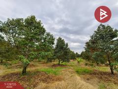 ขายที่ดินพร้อมสวน เนื้อที่ 27 ไร่ เขาคิชฌกูฏ จันทบุรี-202512141723131765707793186.jpg