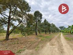 ขายที่ดินพร้อมสวน เนื้อที่ 27 ไร่ เขาคิชฌกูฏ จันทบุรี-202512141723131765707793740.jpg