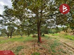 ขายที่ดินพร้อมสวน เนื้อที่ 27 ไร่ เขาคิชฌกูฏ จันทบุรี-202512141723141765707794843.jpg