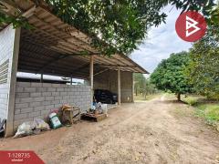 ขายที่ดินพร้อมสวน เนื้อที่ 27 ไร่ เขาคิชฌกูฏ จันทบุรี-202512141723151765707795923.jpg