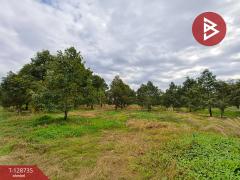 ขายที่ดินพร้อมสวน เนื้อที่ 27 ไร่ เขาคิชฌกูฏ จันทบุรี-202512141723161765707796468.jpg