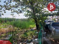 ขายที่ดิน เนื้อที่ 8 ไร่ 36 ตร.วา มีนบุรี กรุงเทพมหานคร-202512141731551765708315960.jpg