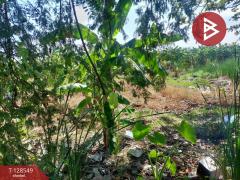 ขายที่ดิน เนื้อที่ 8 ไร่ 36 ตร.วา มีนบุรี กรุงเทพมหานคร-202512141732021765708322928.jpg