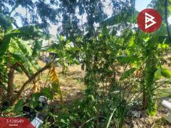 ขายที่ดิน เนื้อที่ 8 ไร่ 36 ตร.วา มีนบุรี กรุงเทพมหานคร-202512141732031765708323471.jpg