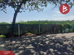 ขายที่ดิน เนื้อที่ 8 ไร่ 36 ตร.วา มีนบุรี กรุงเทพมหานคร-202512141732051765708325549.jpg