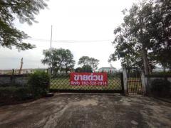 รหัส:  - Sale ที่ดิน ที่ดินลำลูกกาคลองสอง ปทุมธานี  ขนาดเท่ากับ 1 Rai 0 Ngan 50 ตารางวา 11250000 บาท. ไม่ไกลจาก BTS คูคต Hot!