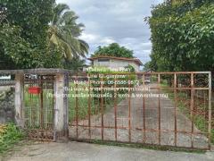 บ้าน ขายบ้านปูนกึ่งไม้ 2 ชั้น 5 น 3 น้ำ (ทรงคลาสสิค) พร้อมพื้นที่สวน 351 ตร.ว. @ตลาดท่าศาลา จ.นครศรีธรรมราช ใกล้กับ ตลาดสดนับอนุสรณ์ 5500000 B. 5 นอน ขนาดเท่ากับ 351 ตรว. ทำเลคุณภาพ นครศรีธรรมราช   