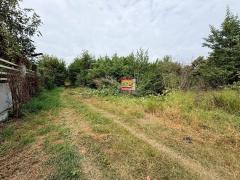 ขายที่ดินผังสีม่วง 100 ตรว ทำเลดี มีอนาคต ซ.หอพักปุณนิดา เพลส อ.ไทรน้อย จ.นนทบุรี-202512150526131765751173804.jpg