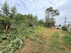 ขายที่ดินผังสีม่วง 100 ตรว ทำเลดี มีอนาคต ซ.หอพักปุณนิดา เพลส อ.ไทรน้อย จ.นนทบุรี-202512150526161765751176527.jpg