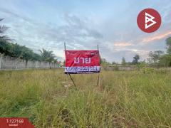 ขายที่ดินแปลงสวย-เนื้อที่-1-ไร่-6.5-ตาร