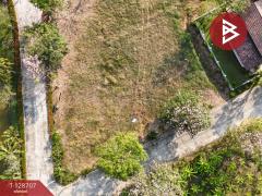 ขายที่ดิน เนื้อที่ 3 งาน 76.2 ตร.วา แปลงยาว ฉะเชิงเทรา-202512151042581765770178182.jpg