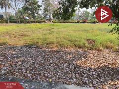 ขายที่ดิน เนื้อที่ 3 งาน 76.2 ตร.วา แปลงยาว ฉะเชิงเทรา-202512151042591765770179316.jpg