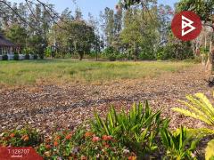 ขายที่ดิน เนื้อที่ 3 งาน 76.2 ตร.วา แปลงยาว ฉะเชิงเทรา-202512151043001765770180104.jpg