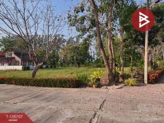 ขายที่ดิน เนื้อที่ 3 งาน 76.2 ตร.วา แปลงยาว ฉะเชิงเทรา-202512151043001765770180670.jpg