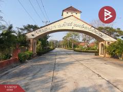 ขายที่ดิน เนื้อที่ 3 งาน 76.2 ตร.วา แปลงยาว ฉะเชิงเทรา-202512151043011765770181243.jpg