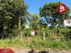 ขายที่ดิน ในหมู่บ้านทรัพย์ไพศาล เนื้อที่ 51 ตร.วา หนองจอก กรุงเทพมหานคร