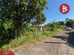 ขายที่ดิน ในหมู่บ้านทรัพย์ไพศาล เนื้อที่ 51 ตร.วา หนองจอก กรุงเทพมหานคร-202512151101231765771283709.jpg