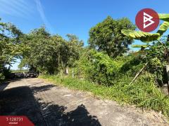 ขายที่ดิน ในหมู่บ้านทรัพย์ไพศาล เนื้อที่ 51 ตร.วา หนองจอก กรุงเทพมหานคร-202512151101331765771293911.jpg