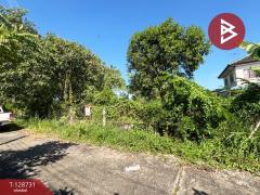 ขายที่ดิน ในหมู่บ้านทรัพย์ไพศาล เนื้อที่ 51 ตร.วา หนองจอก กรุงเทพมหานคร-202512151101341765771294929.jpg