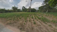 ขาย ที่ดิน แปลงสวย ทำเลดี ใกล้สวนอุตสาหกรรมโรจนะ ปราจีนบุรี ขนาด 4-2-85 ไร่-202512151141401765773700849.jpg