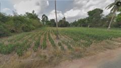 ขาย ที่ดิน แปลงสวย ทำเลดี ใกล้สวนอุตสาหกรรมโรจนะ ปราจีนบุรี ขนาด 4-2-85 ไร่-202512151141411765773701364.jpg