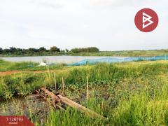 ขายที่ดินติดคลอง เนื้อที่ 7 ไร่ 3 งาน 59.1 ตร.วา ปากพลี นครนายก