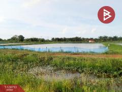 ขายที่ดินติดคลอง เนื้อที่ 7 ไร่ 3 งาน 59.1 ตร.วา ปากพลี นครนายก-202512151200551765774855857.jpg